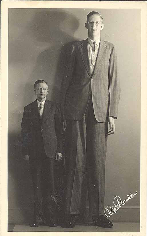 Robert Wadlow