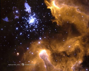 Paradoxalement, relativement peu d'astrologues s'intéressent à l'astronomie. Ce n'est pas mon cas, je voulais même être astronome quand j'étais petit, et il m'est impossible de ne pas avoir un téléscope à la maison, même si... je m'en sers peu, le ciel de la région parisienne étant trop pollué malheureusement. Paradoxalement, relativement peu d'astrologues s'intéressent à l'astronomie. Ce n'est pas mon cas, je voulais même être astronome quand j'étais petit, et il m'est impossible de ne pas avoir un téléscope à la maison, même si... je m'en sers peu, le ciel de la région parisienne étant trop pollué malheureusement.
